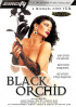 Black Orchid Porn Movie